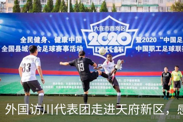 外国访川代表团走进天府新区，感受人工智能与机器人科创活力
